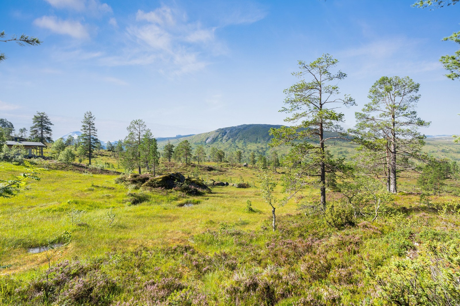 Her er det flott sommer som vinter Galleribilde