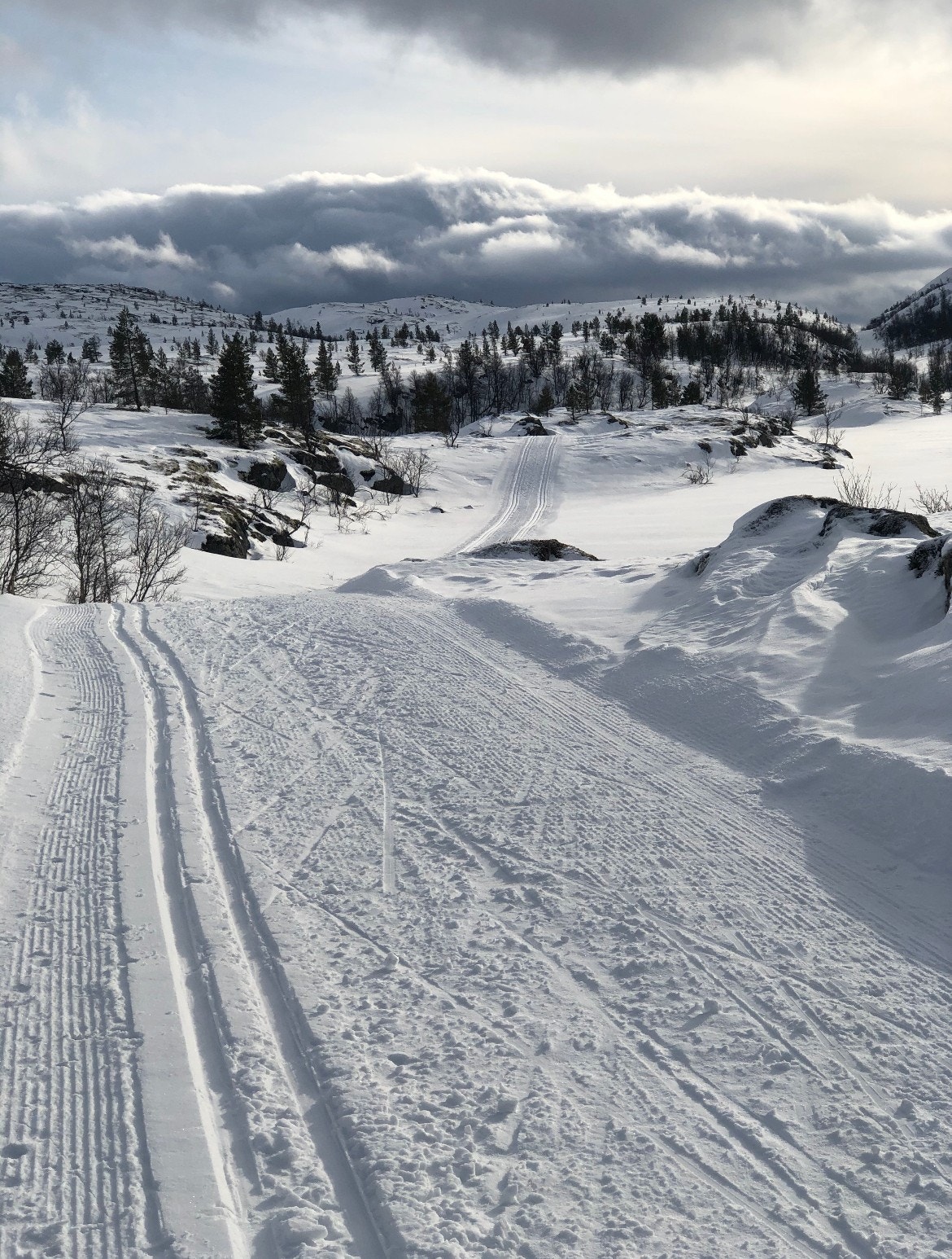Flotte forhold i fjellet! Bilde tatt av selger. Galleribilde