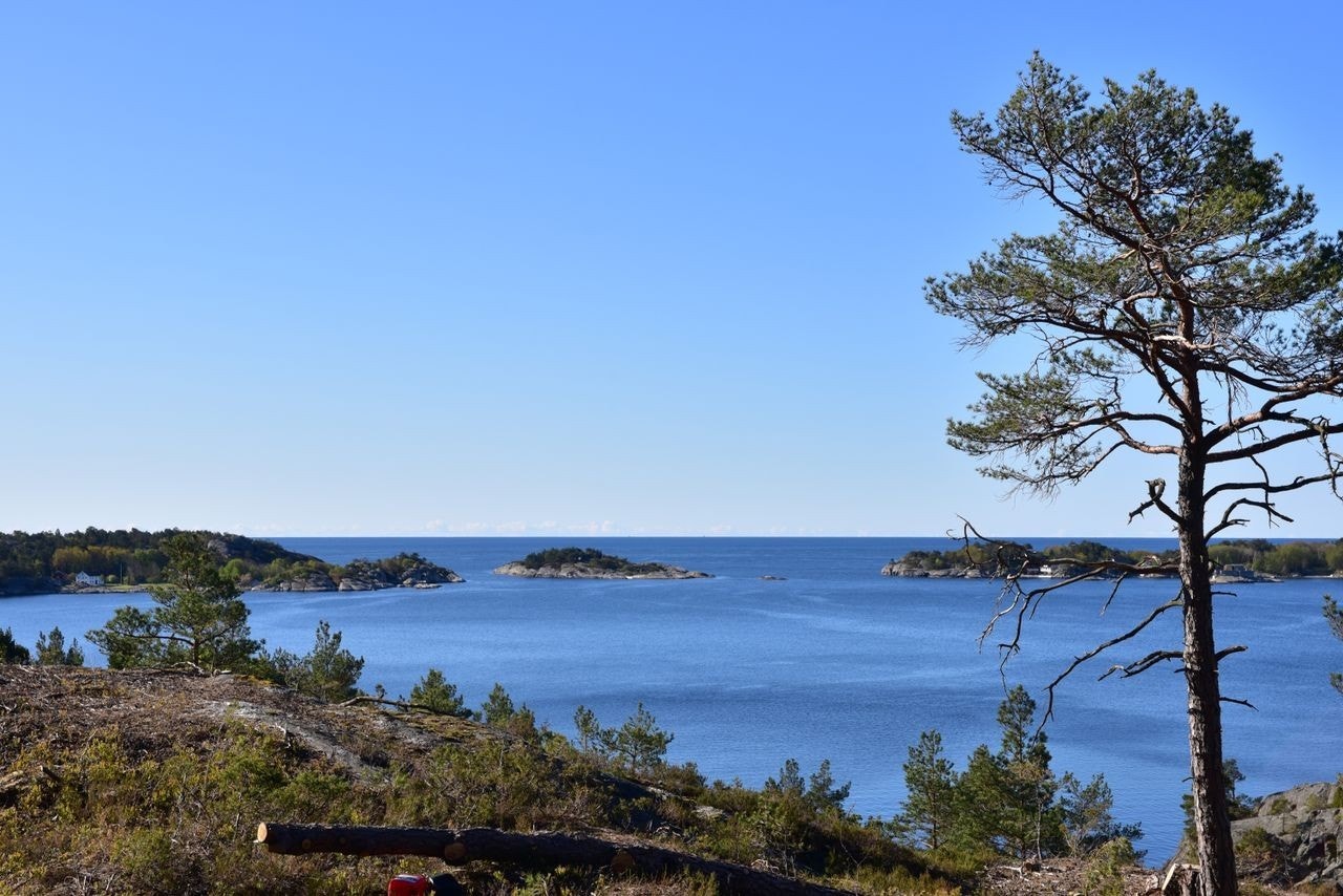 Havutsikt fra feltet Galleribilde