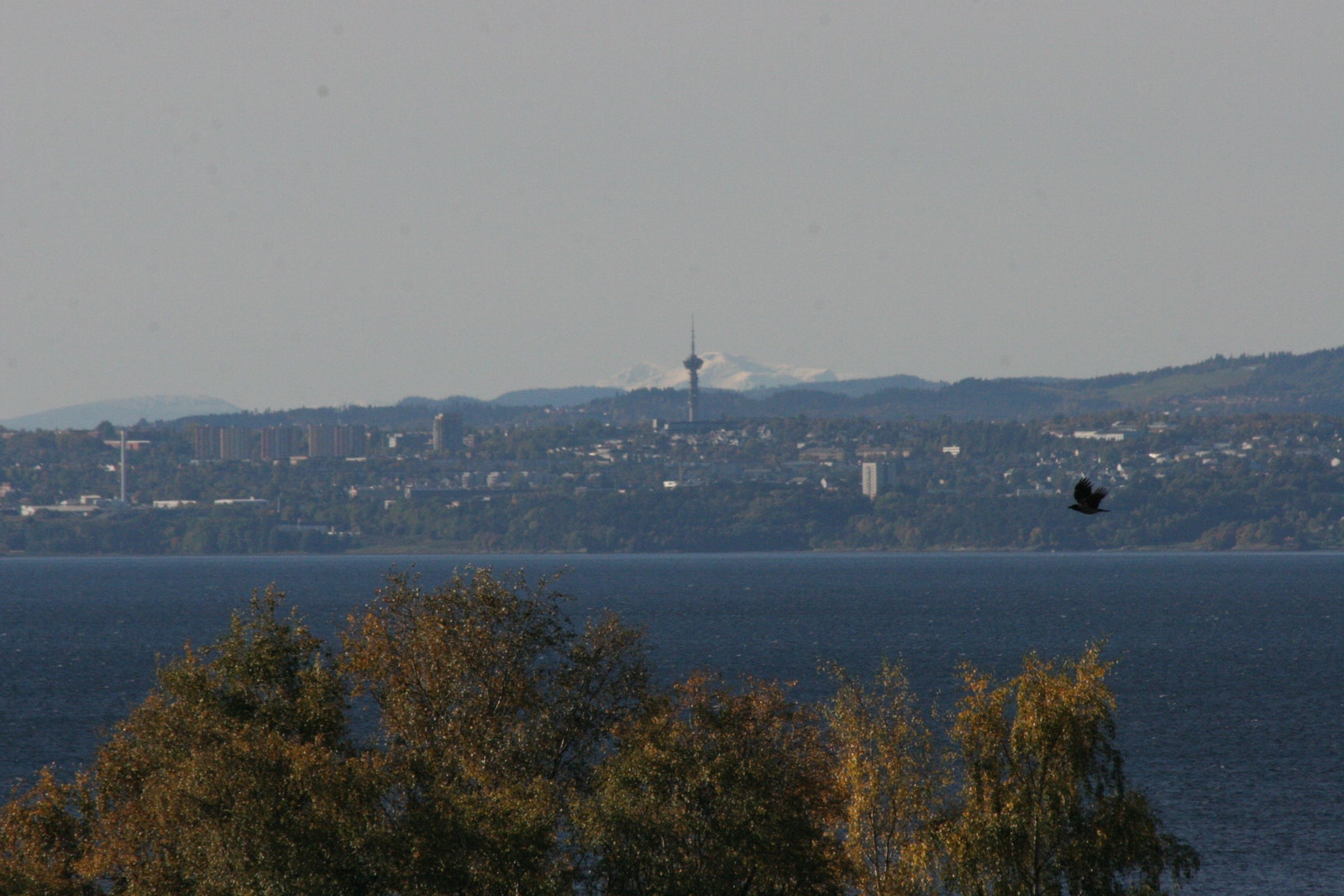 Utsikt mot Trondheim Galleribilde