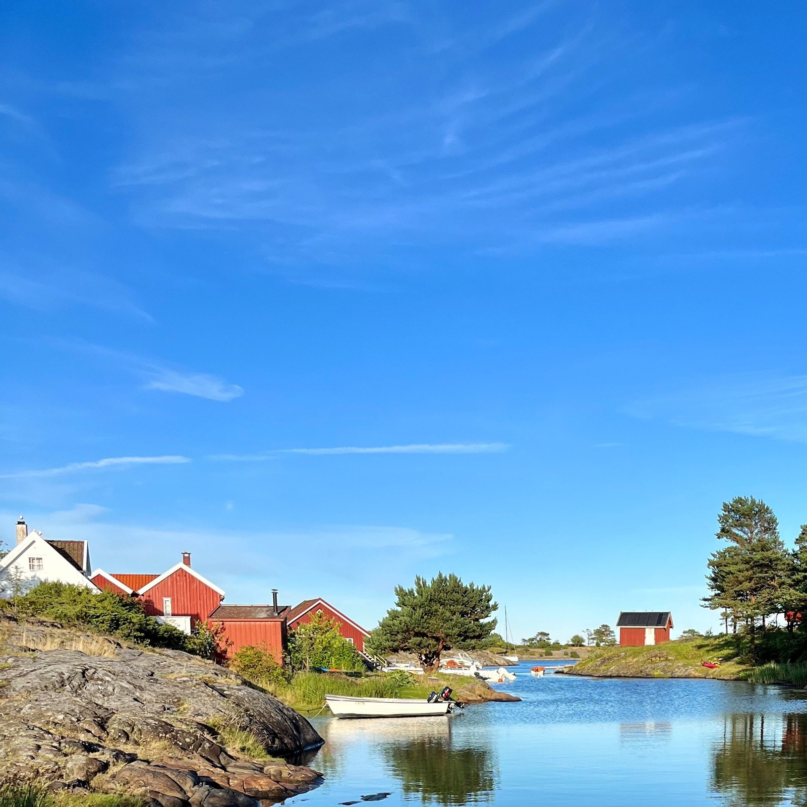 Idylliske Skare Galleribilde