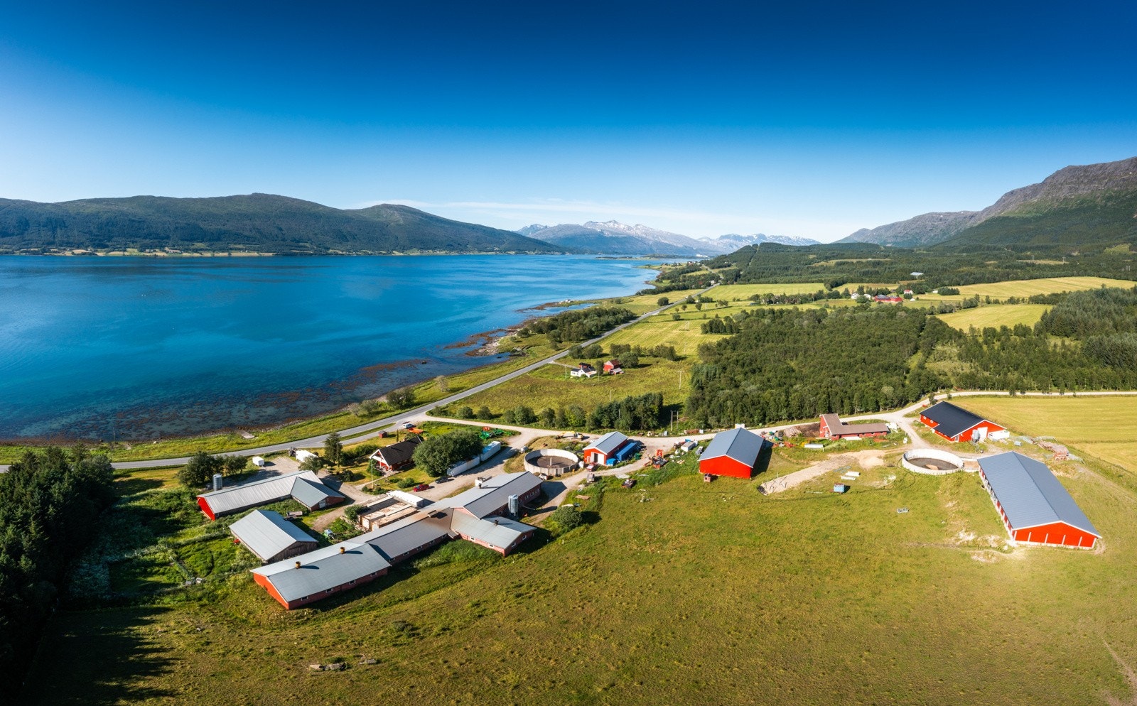 Nyrud Galleribilde