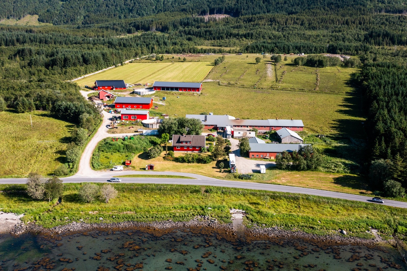 Nyrud Galleribilde
