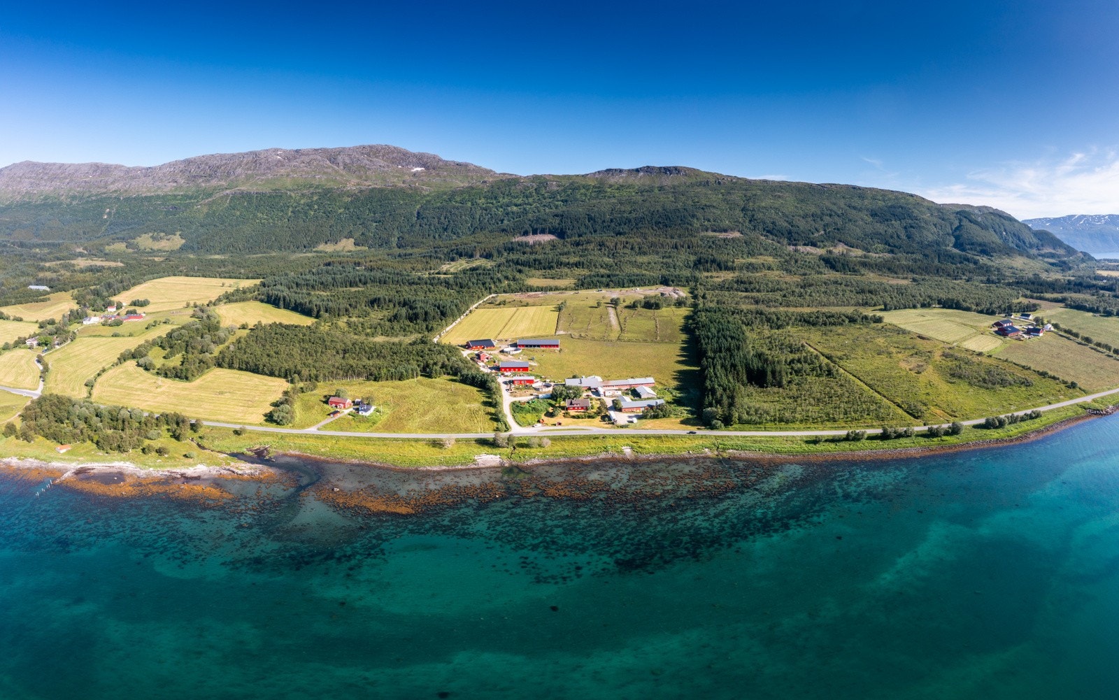 Nyrud Galleribilde