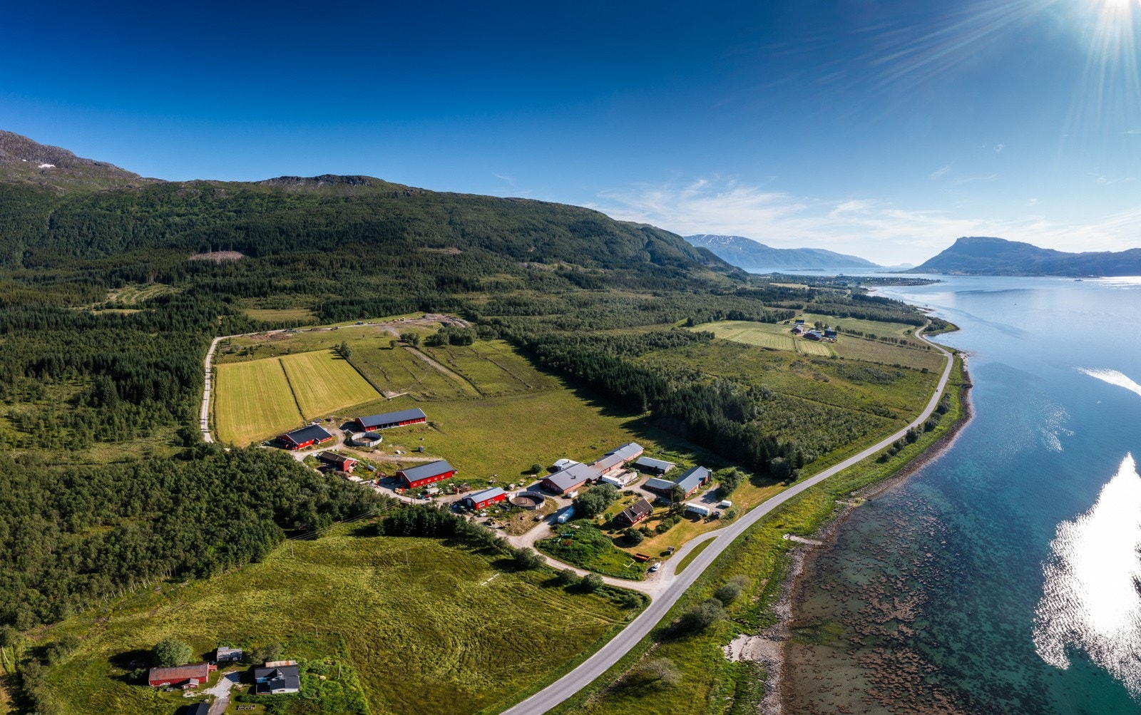 Nyrud Galleribilde