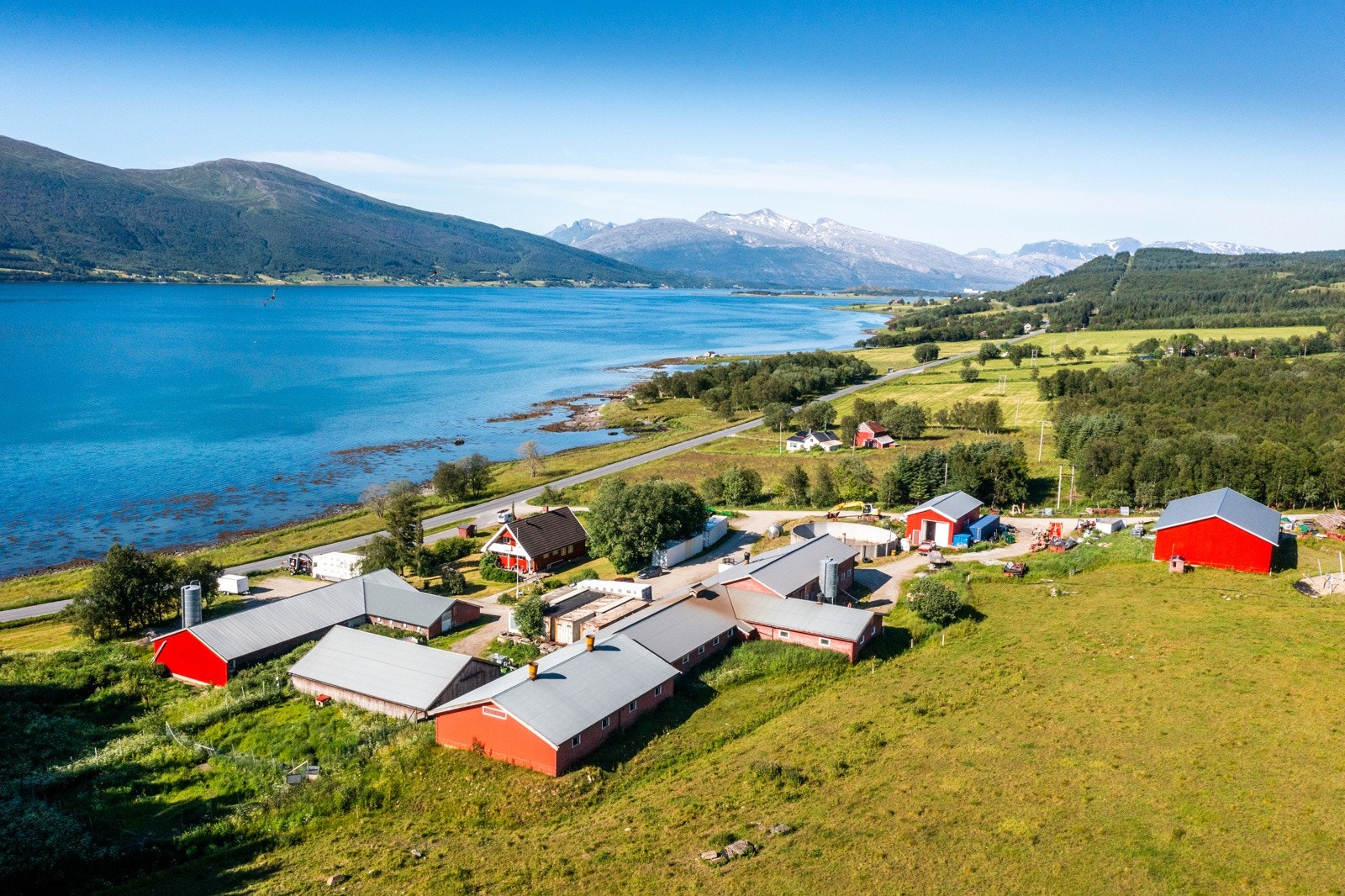 Nyrud Galleribilde