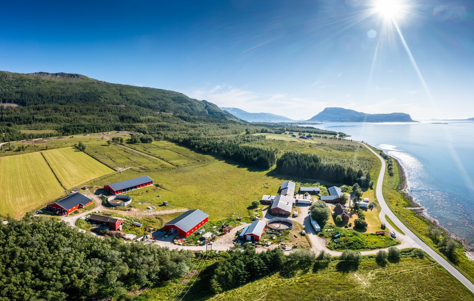 Nyrud Galleribilde