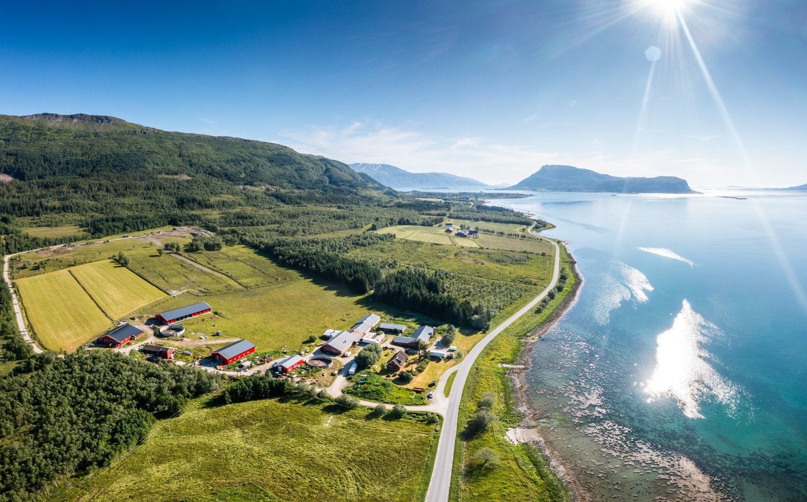 Nyrud Galleribilde