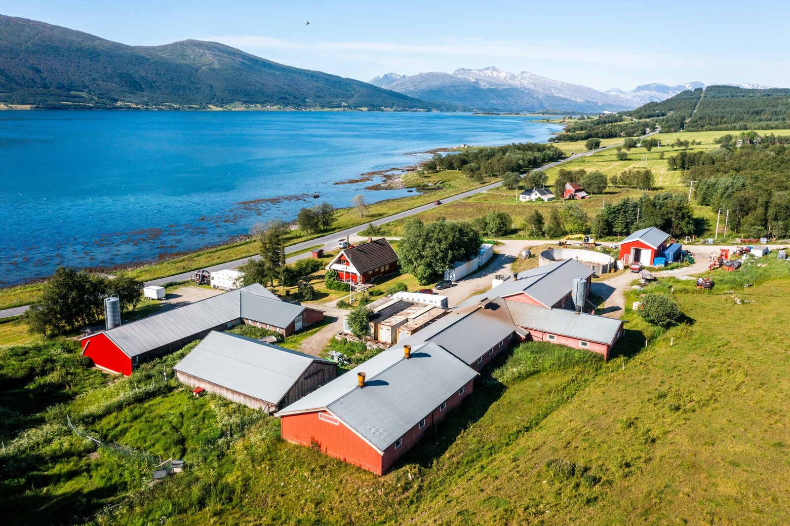 Nyrud Galleribilde