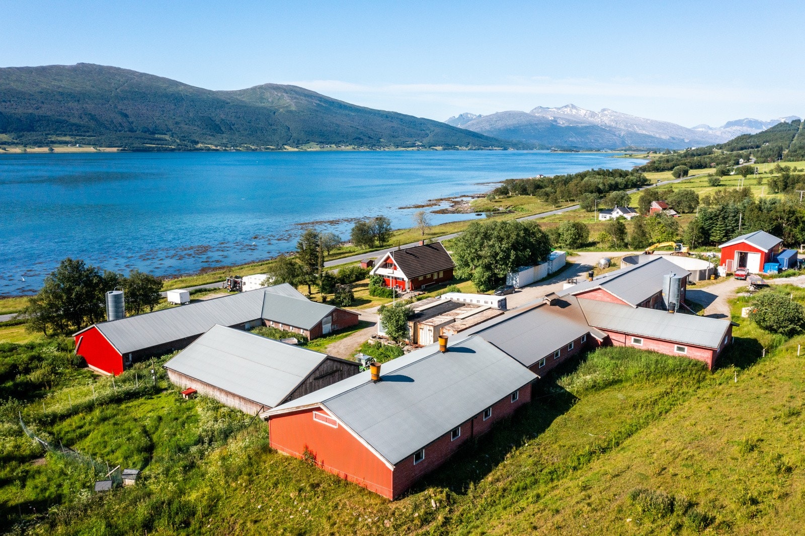 Nyrud Galleribilde