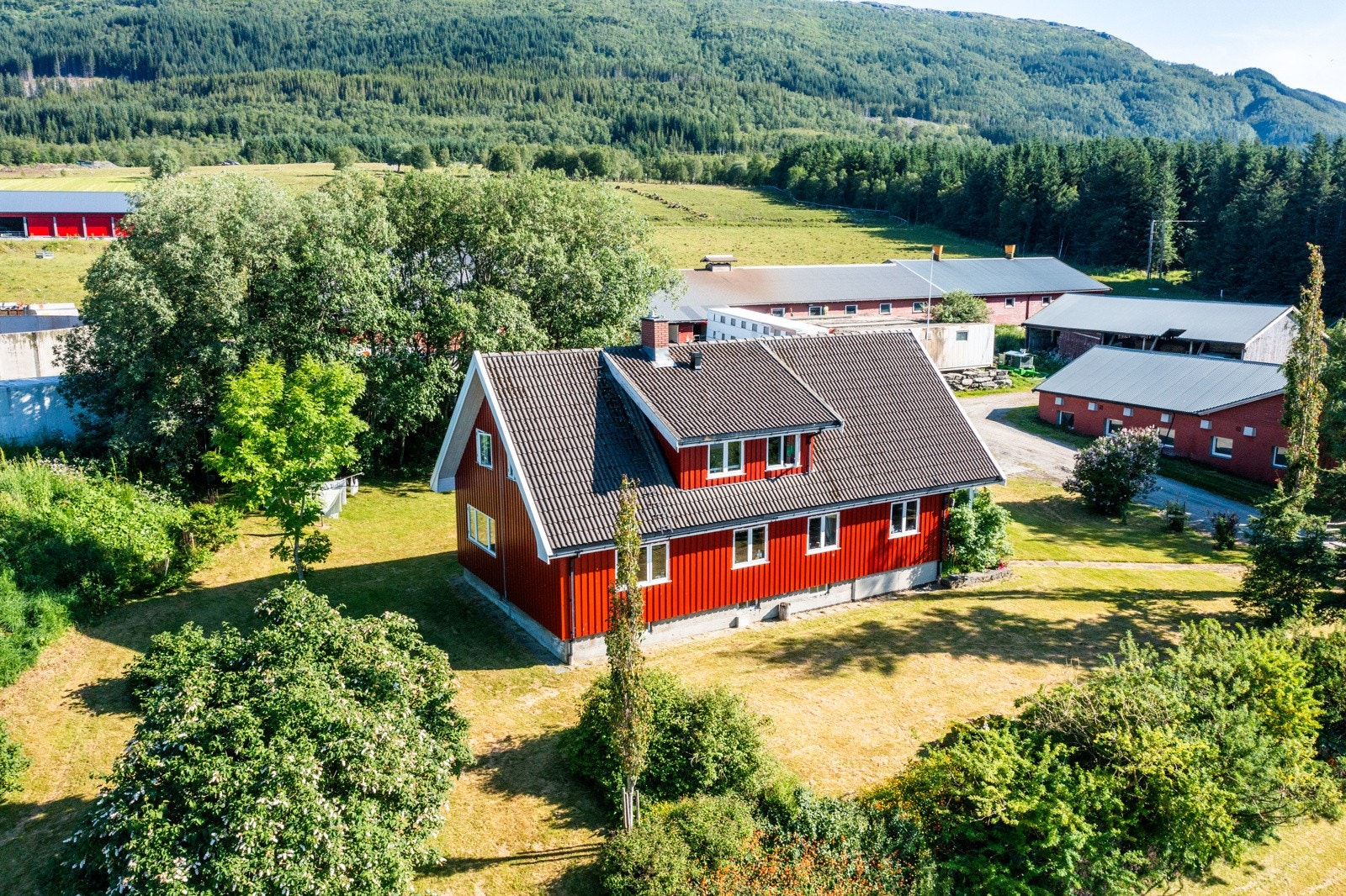 Nyrud Galleribilde