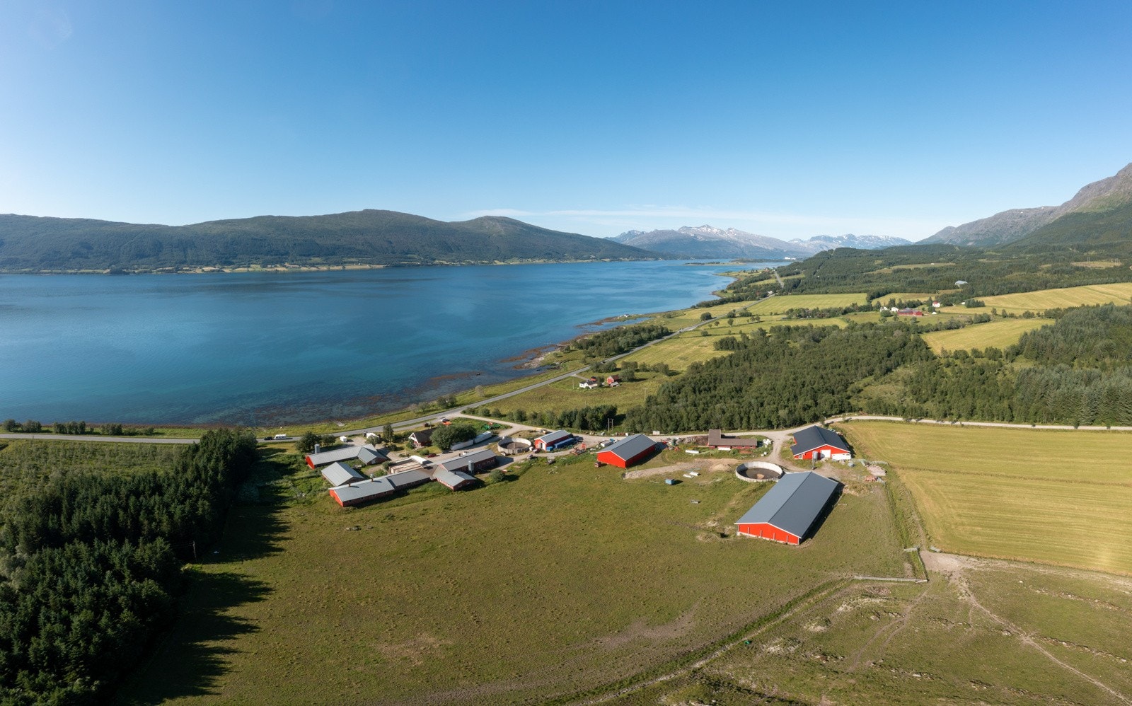 Nyrud Galleribilde