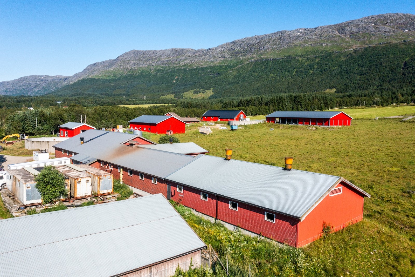 Nyrud Galleribilde