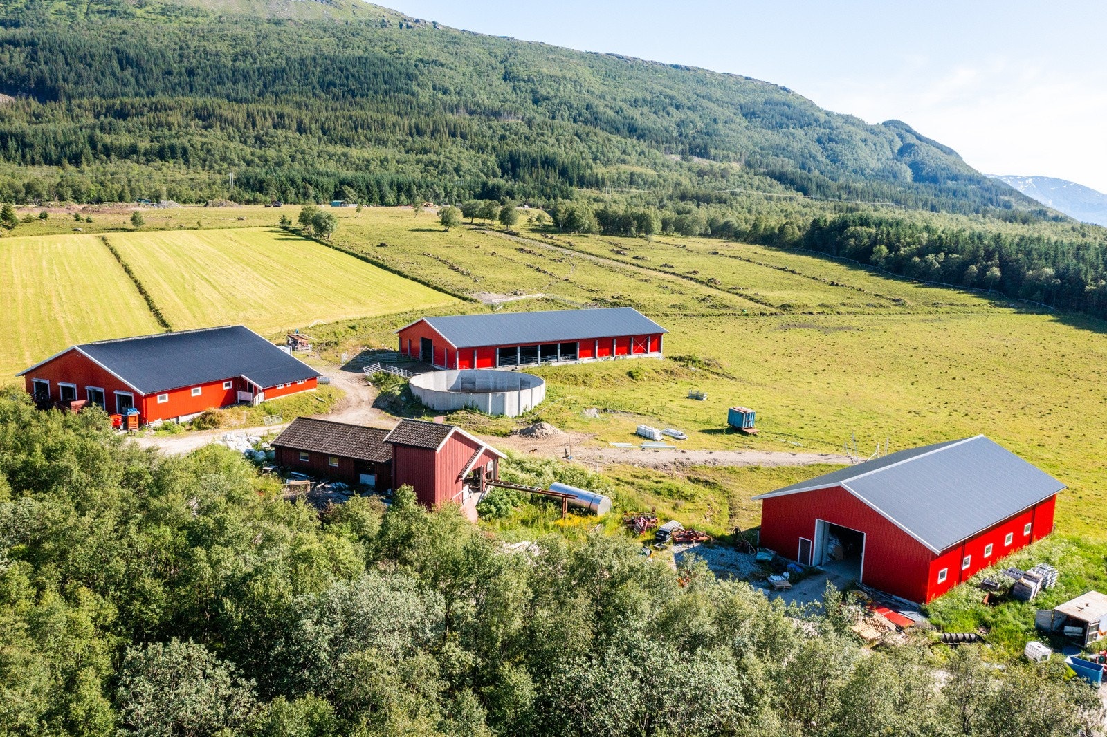 Nyrud Galleribilde