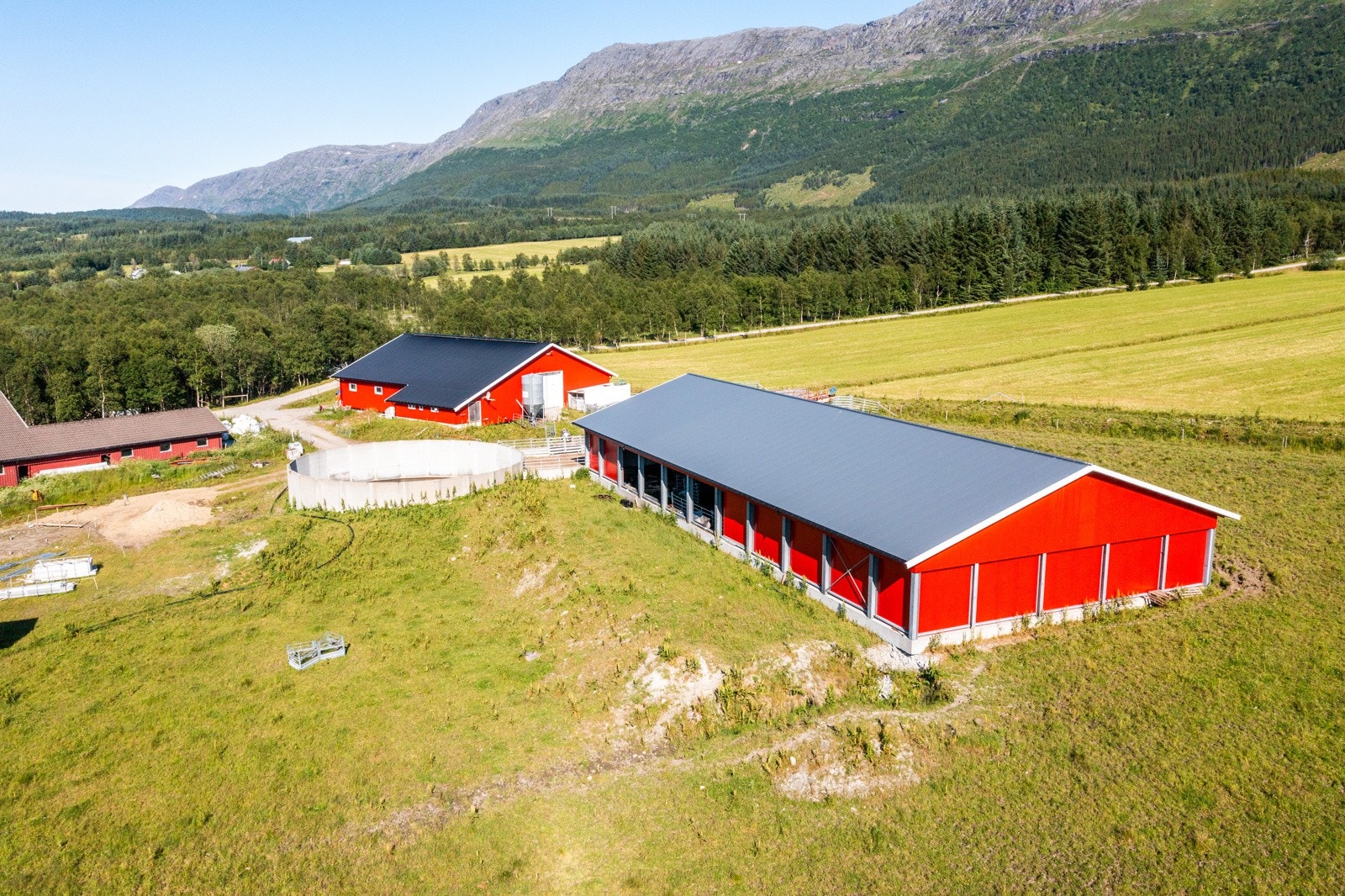 Nyrud Galleribilde