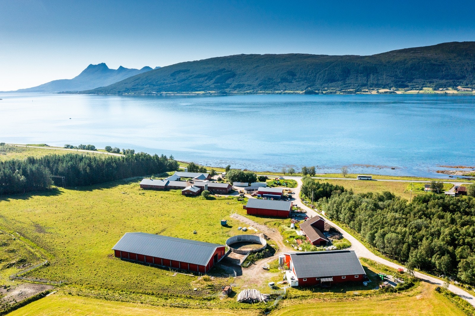 Nyrud Galleribilde