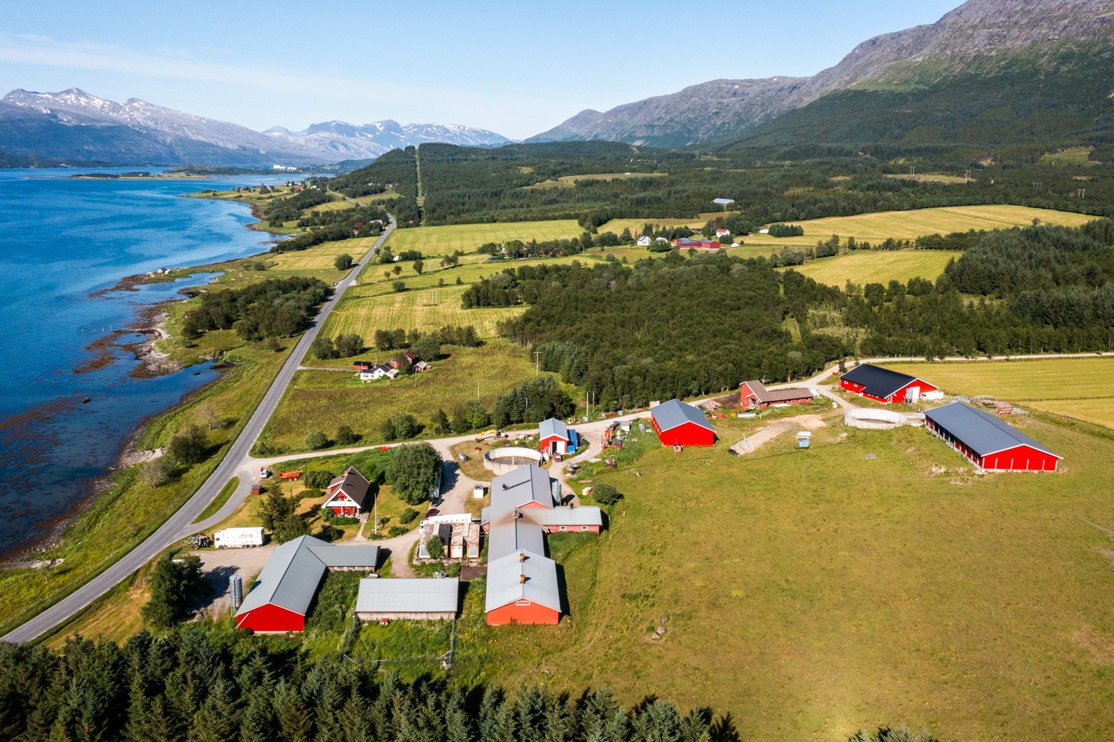 Nyrud Galleribilde