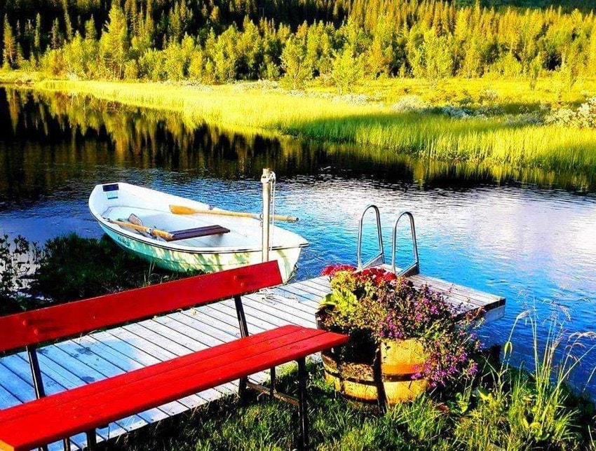 Benk ved bryggen Galleribilde