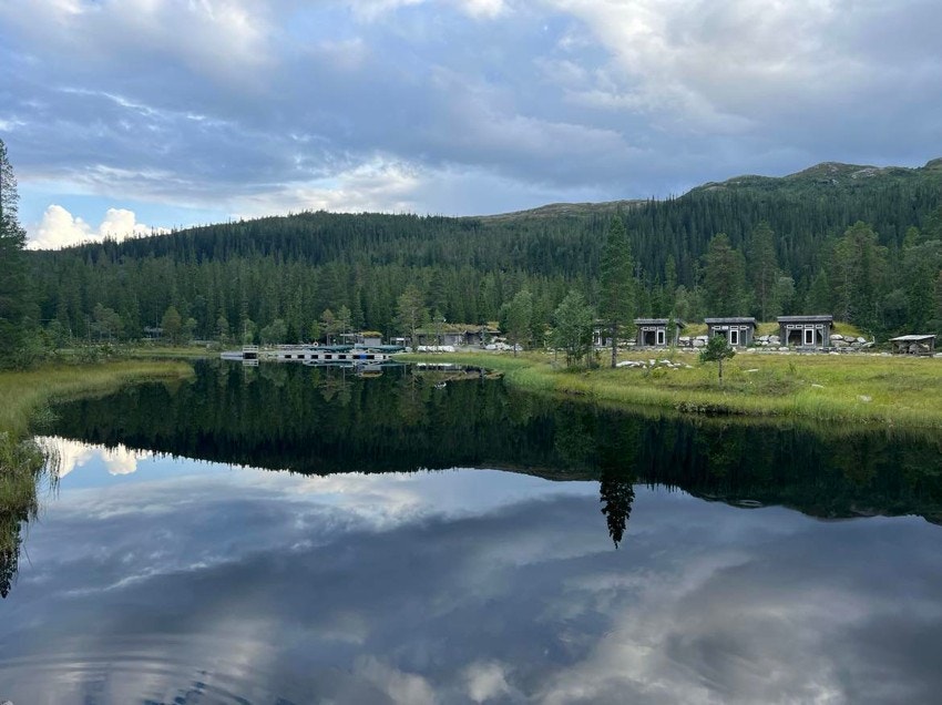 Rypetoppen Galleribilde