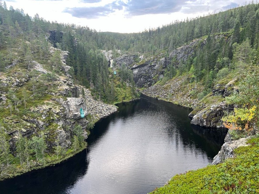 Fra Rypetoppen Galleribilde