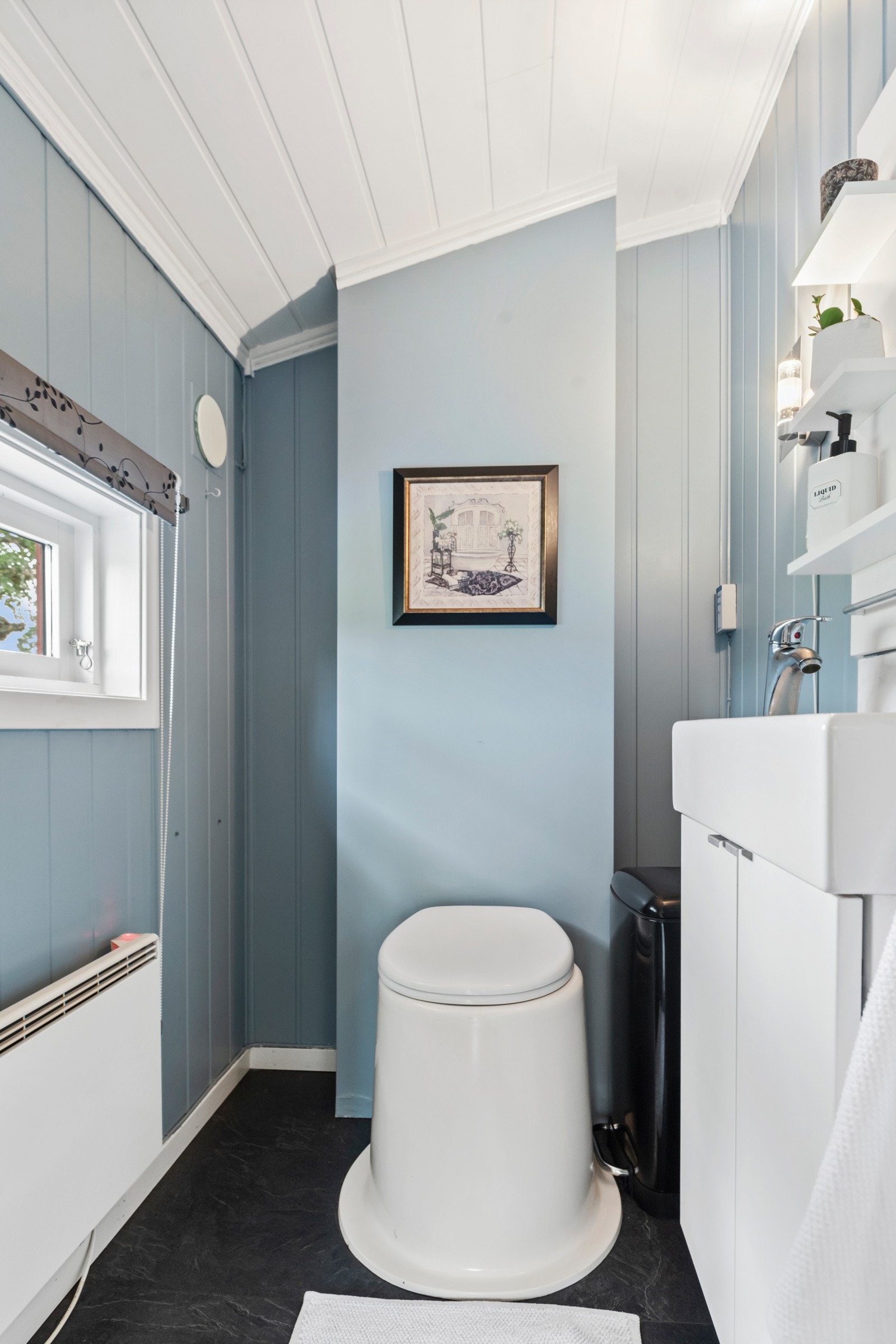 Toalett Galleribilde