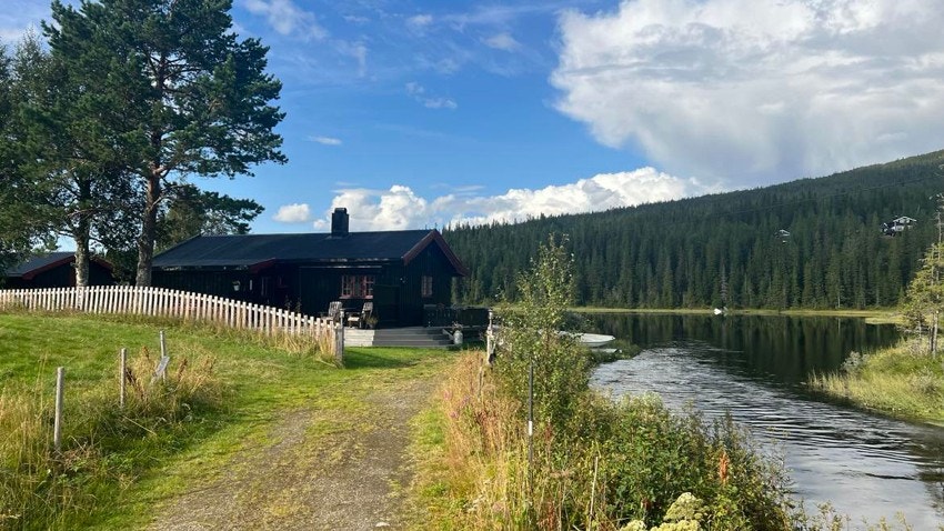 Adkomsten til hytta. Galleribilde