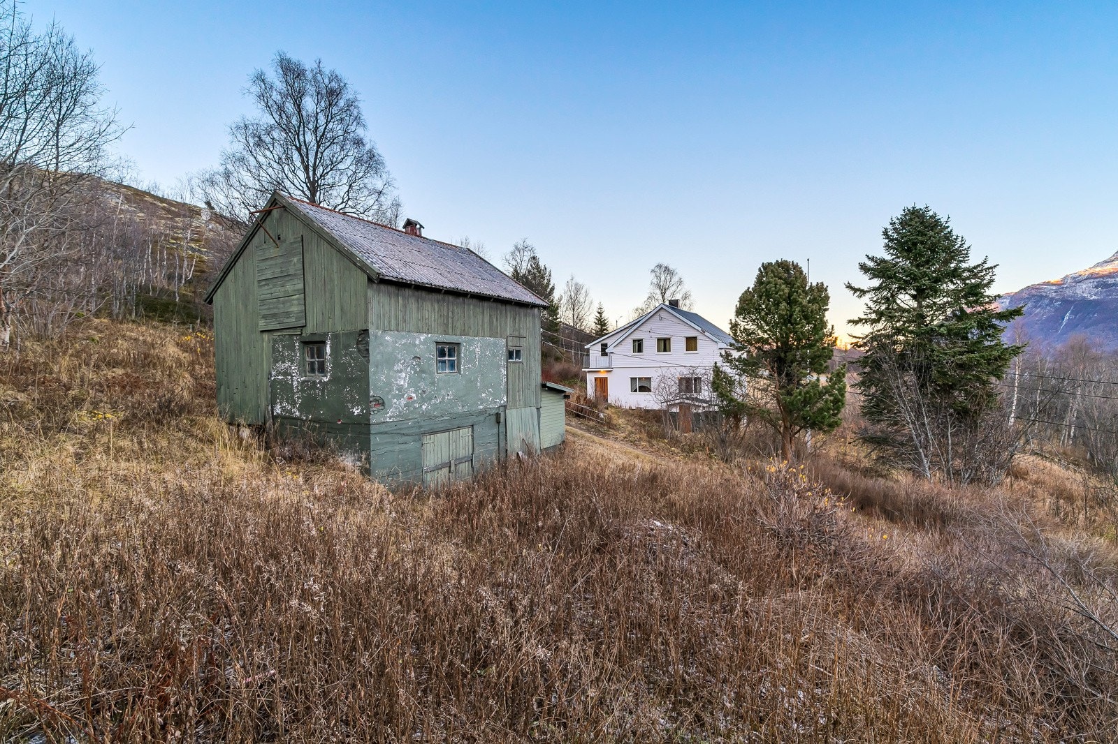 Fjøs Galleribilde