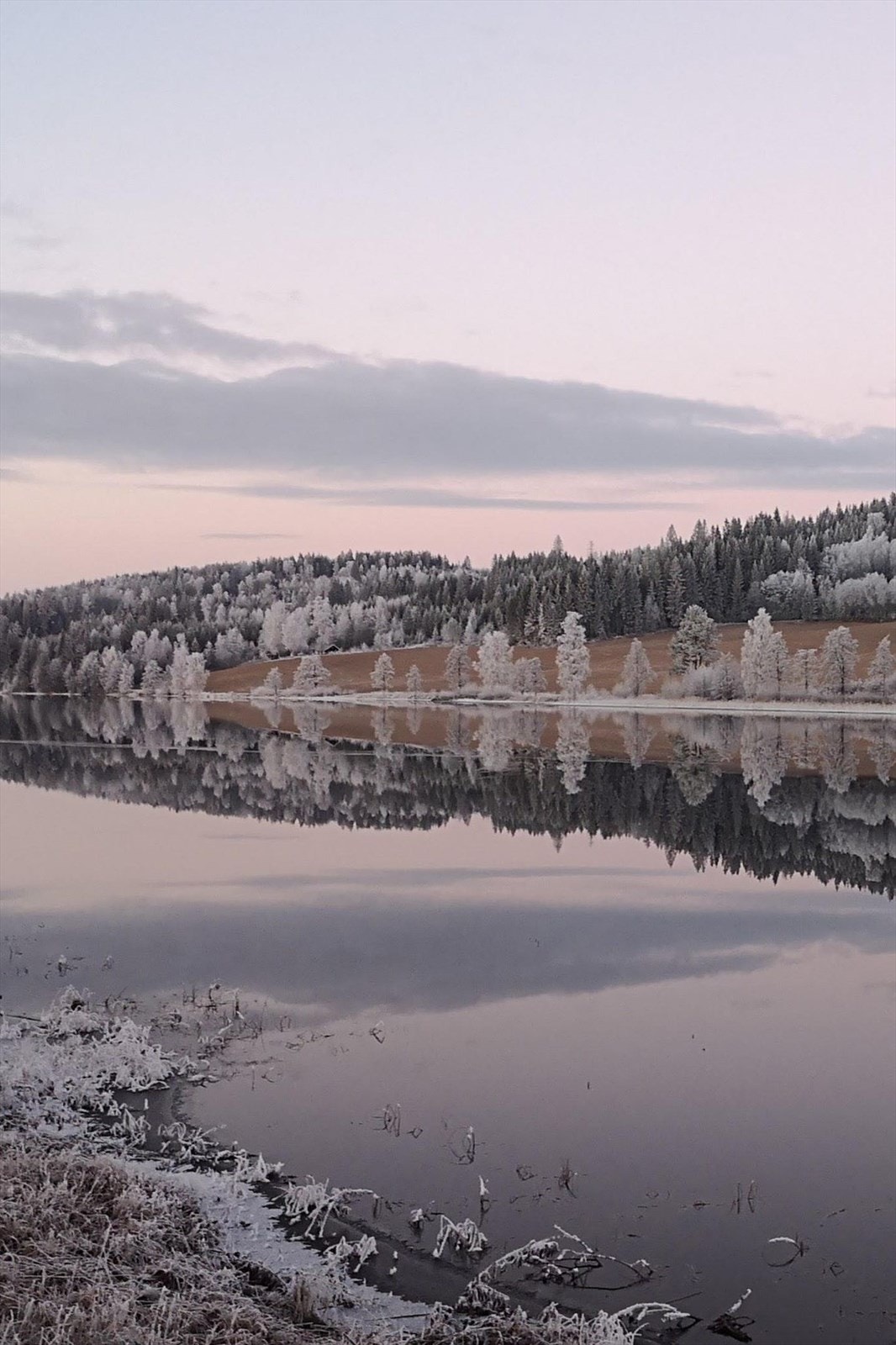 Privat bilde Galleribilde