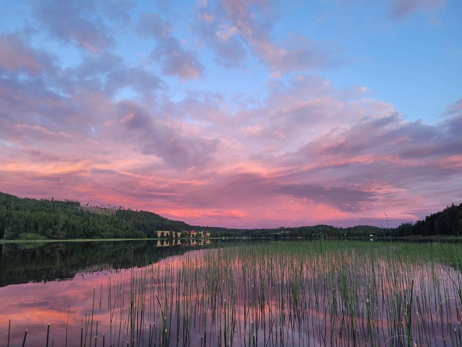 Privat bilde Galleribilde