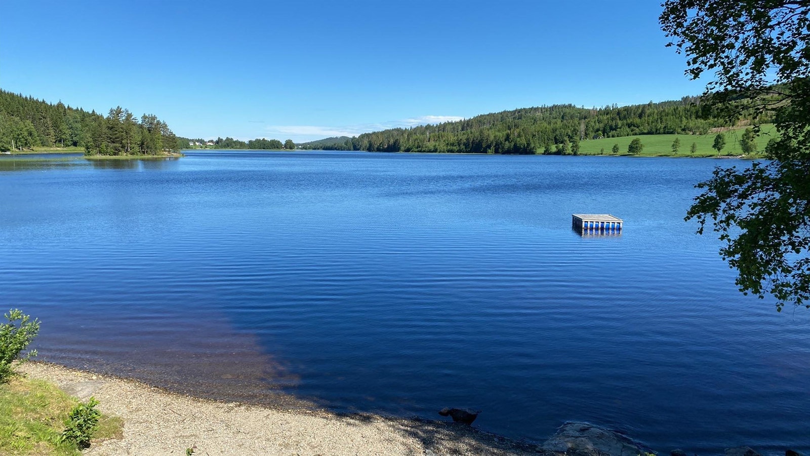 Privat bilde Galleribilde