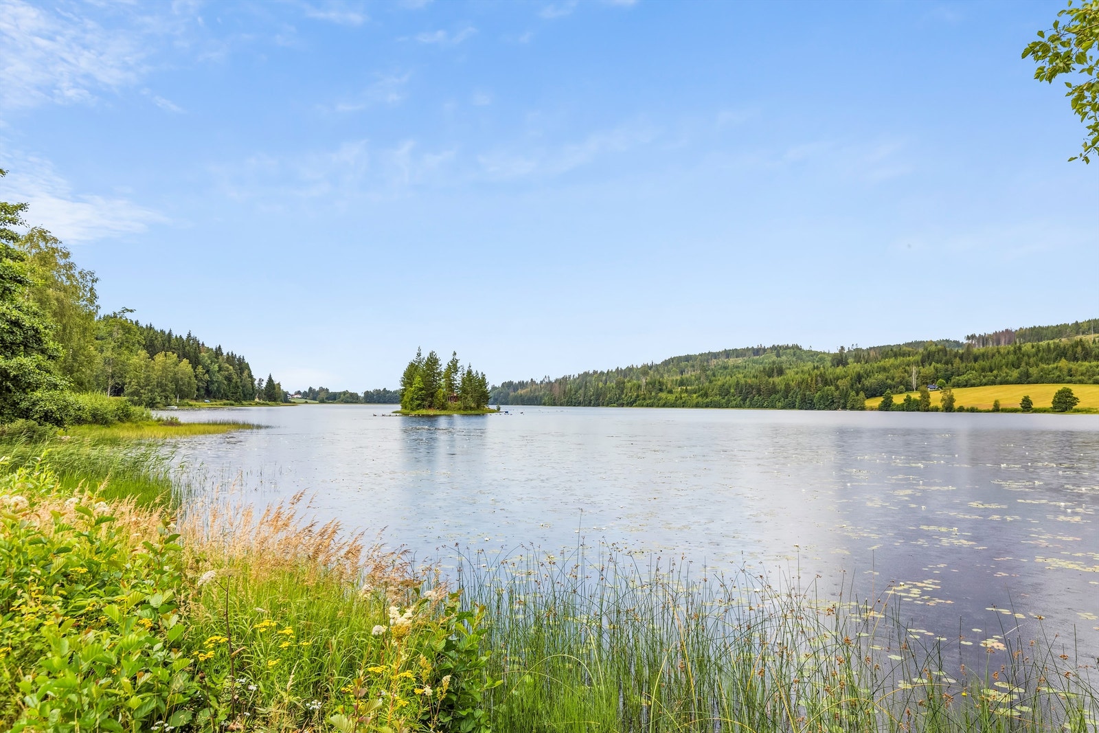 Nærområde Galleribilde