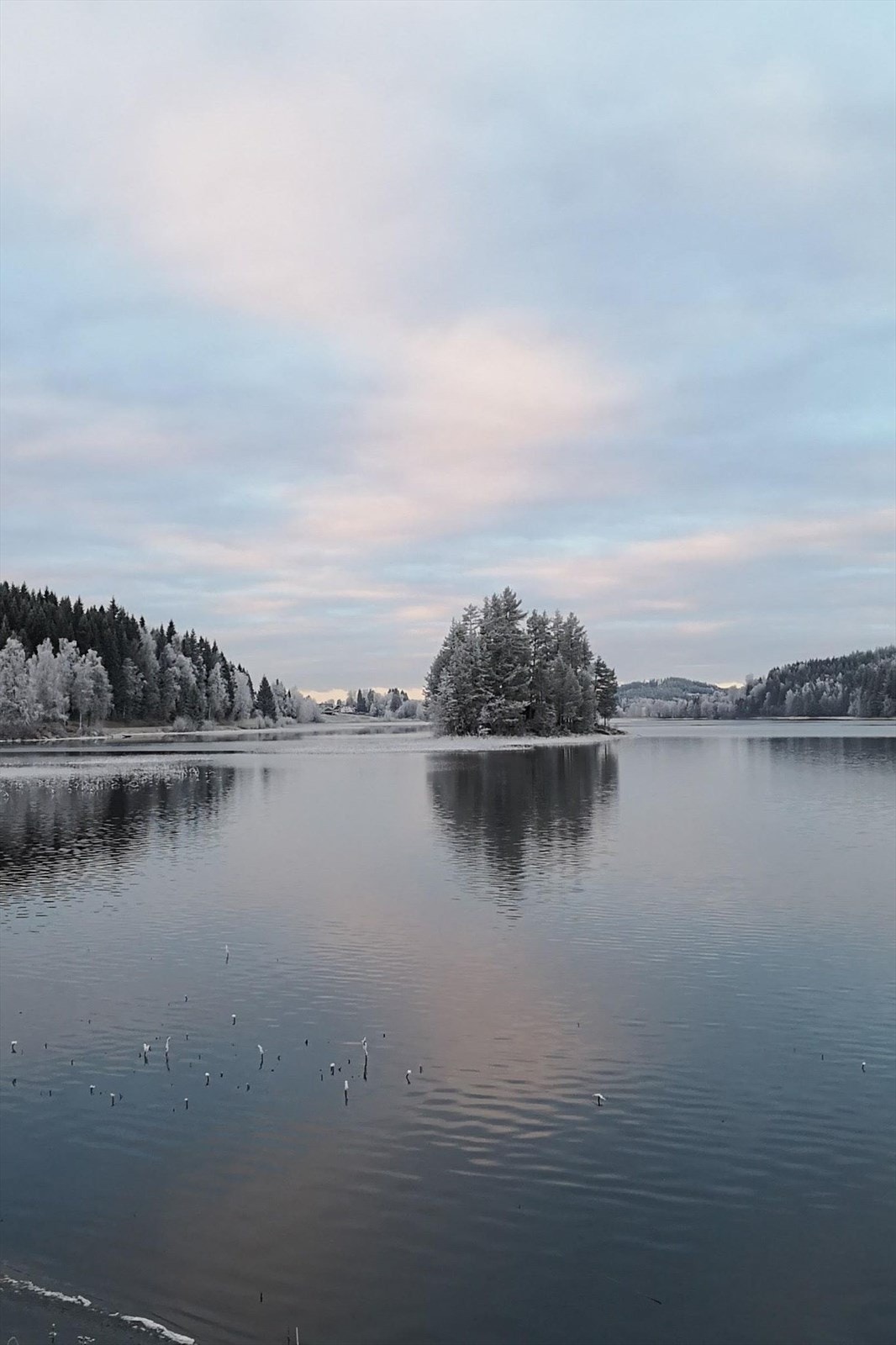 Privat bilde Galleribilde