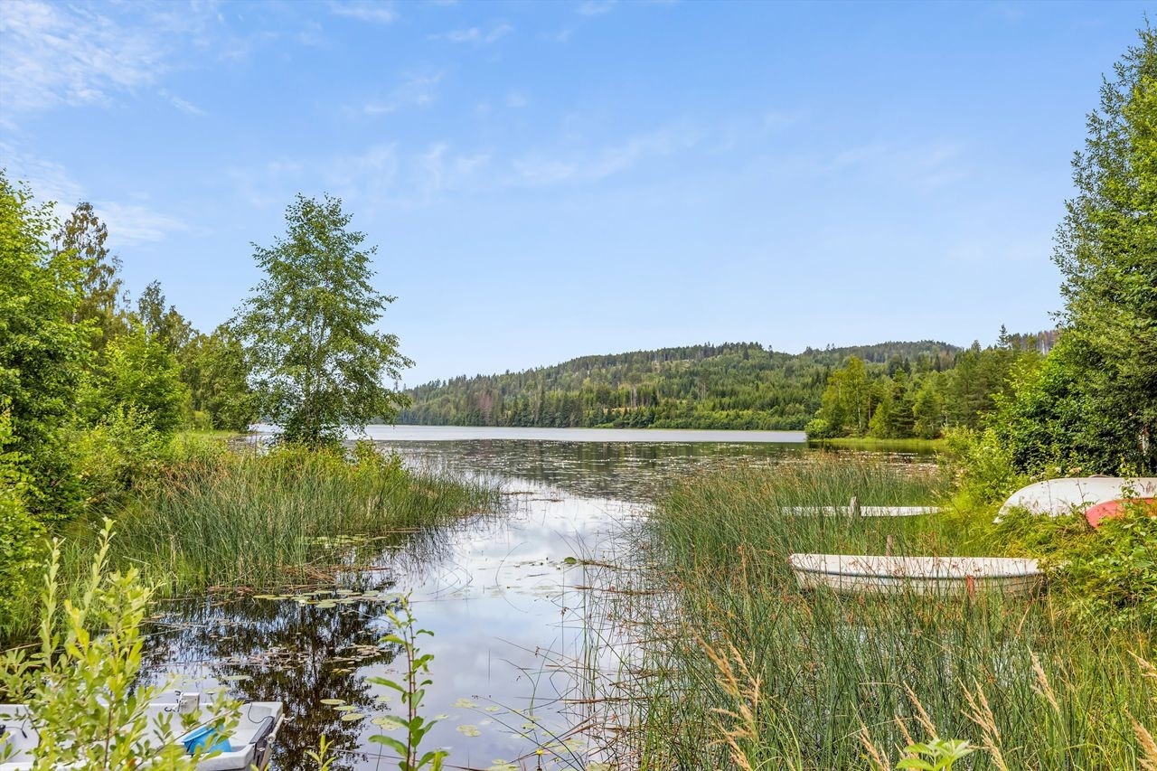 Dølisjøen Galleribilde