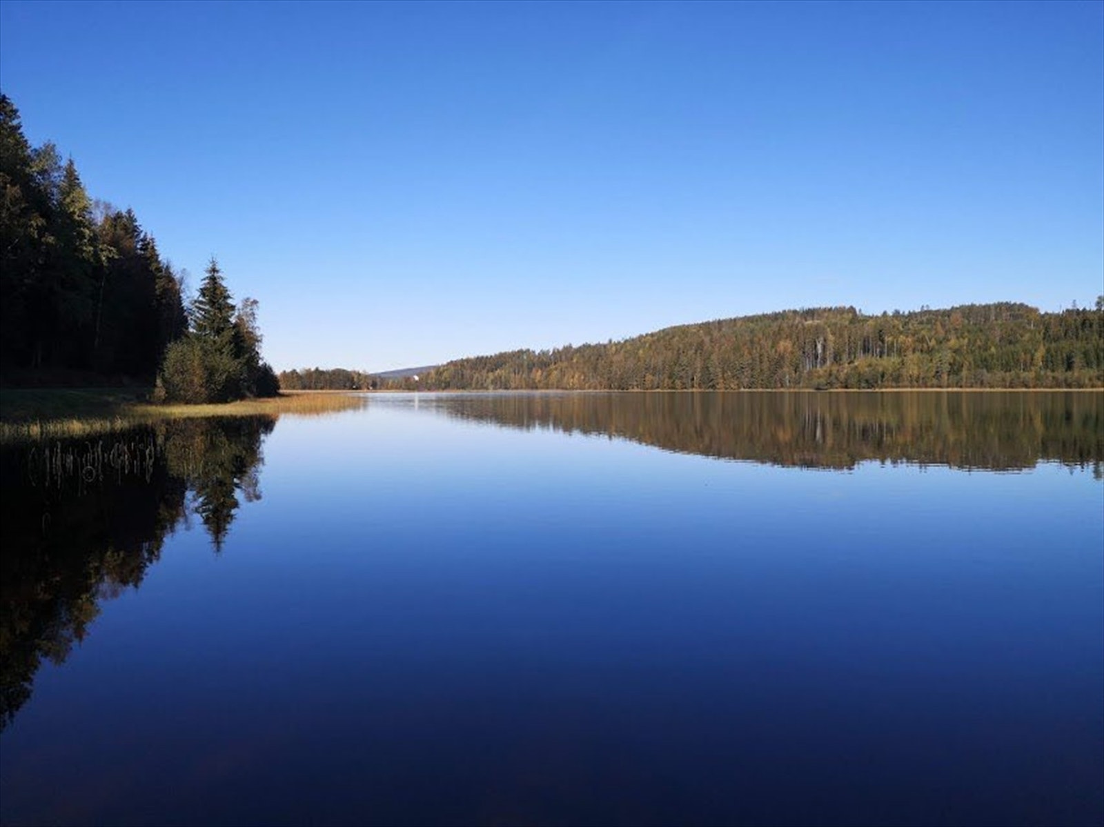 Privat bilde Galleribilde