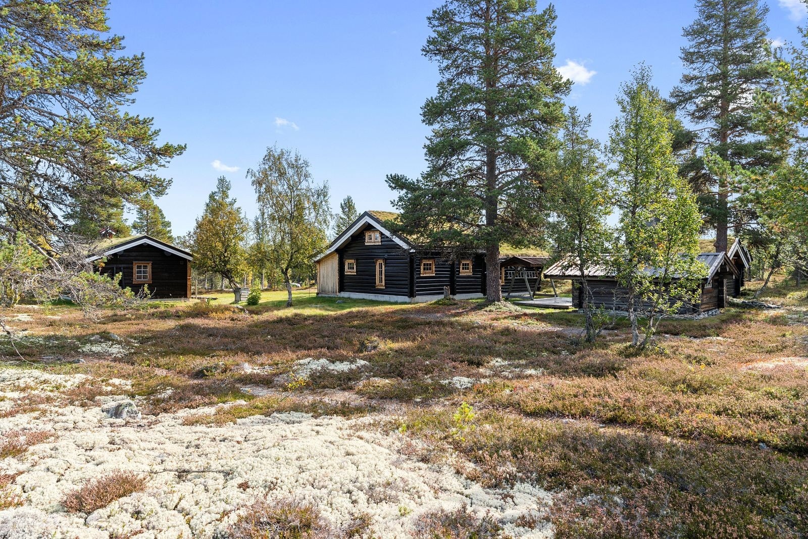 Umiddelbar nærhet til naturen og fine turområder. Galleribilde