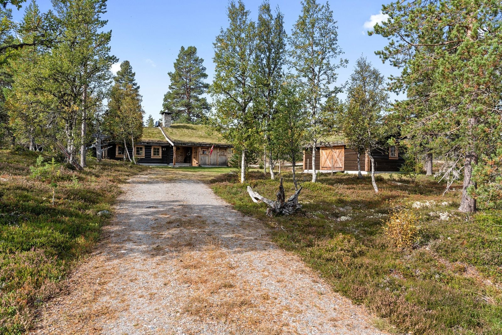 Bilvei helt frem til fritidsboligen. Galleribilde
