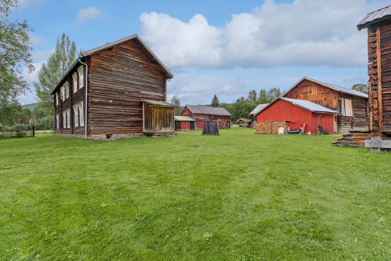 Tomta er opparbeidet med plen rundt bebyggelsen. Galleribilde