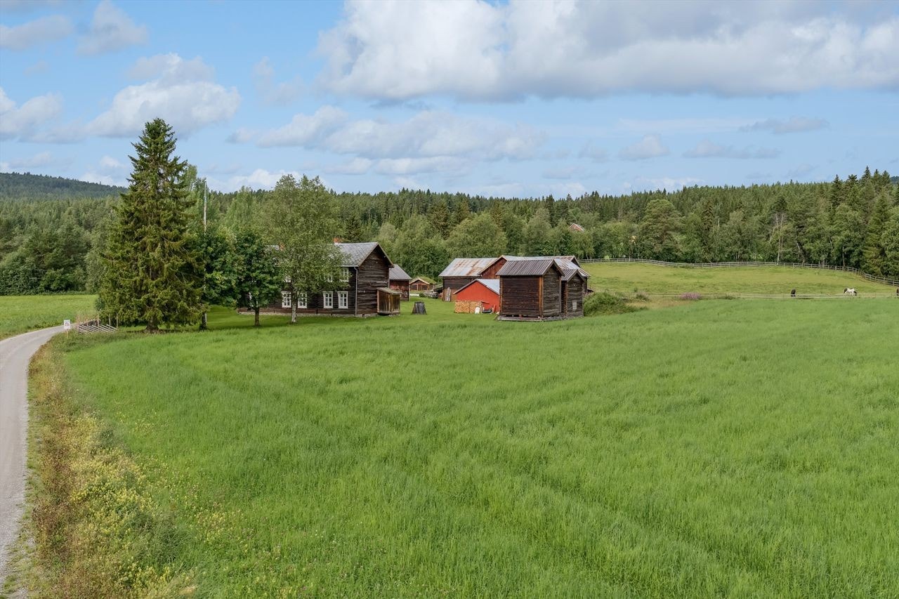 Eiendommen har totalt 10 bygninger, og ca. 8,8 daa med fulldyrka jord, samt ca. 3,6 daa med skog (ihht Nibio gårdskart). Galleribilde
