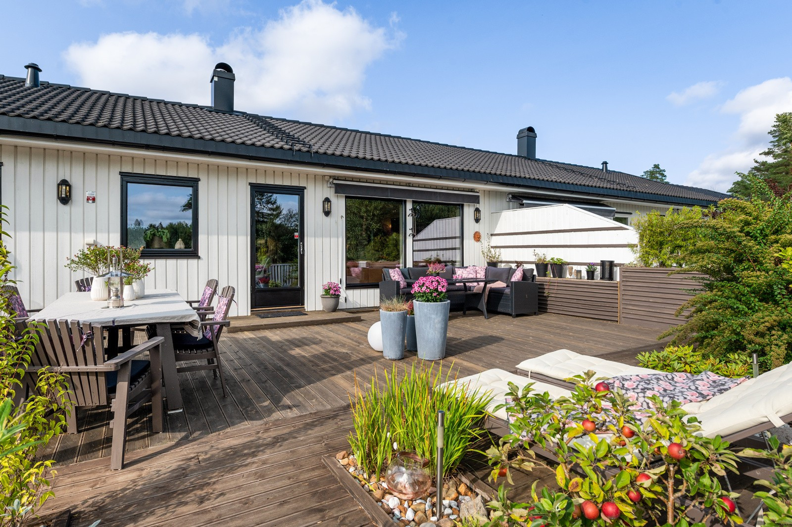hovedbilde