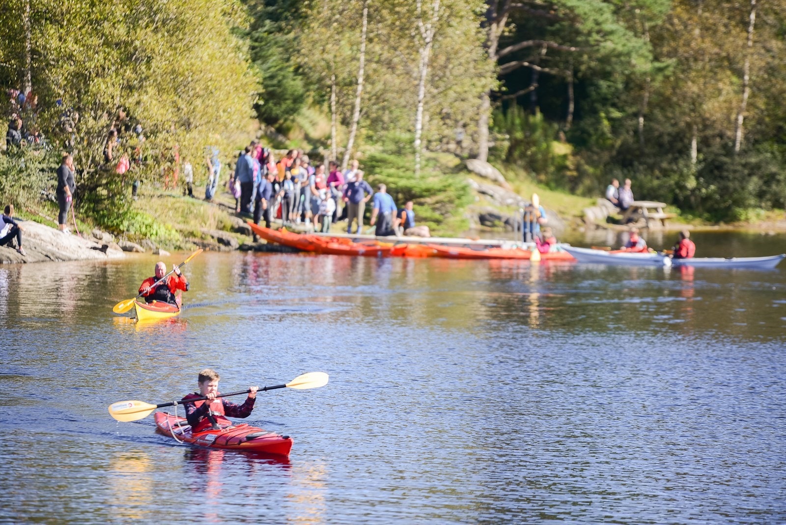 Djupadalen Galleribilde