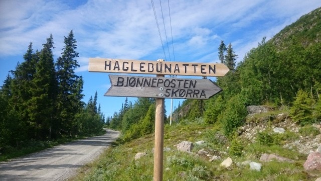 Fine turområder både sommer som vinter. Galleribilde