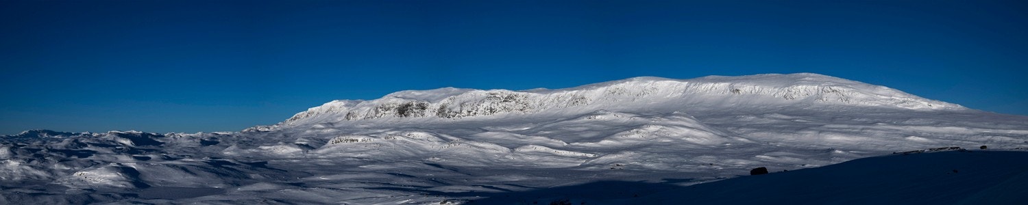 Fotograf Terje Bjørnsen Galleribilde