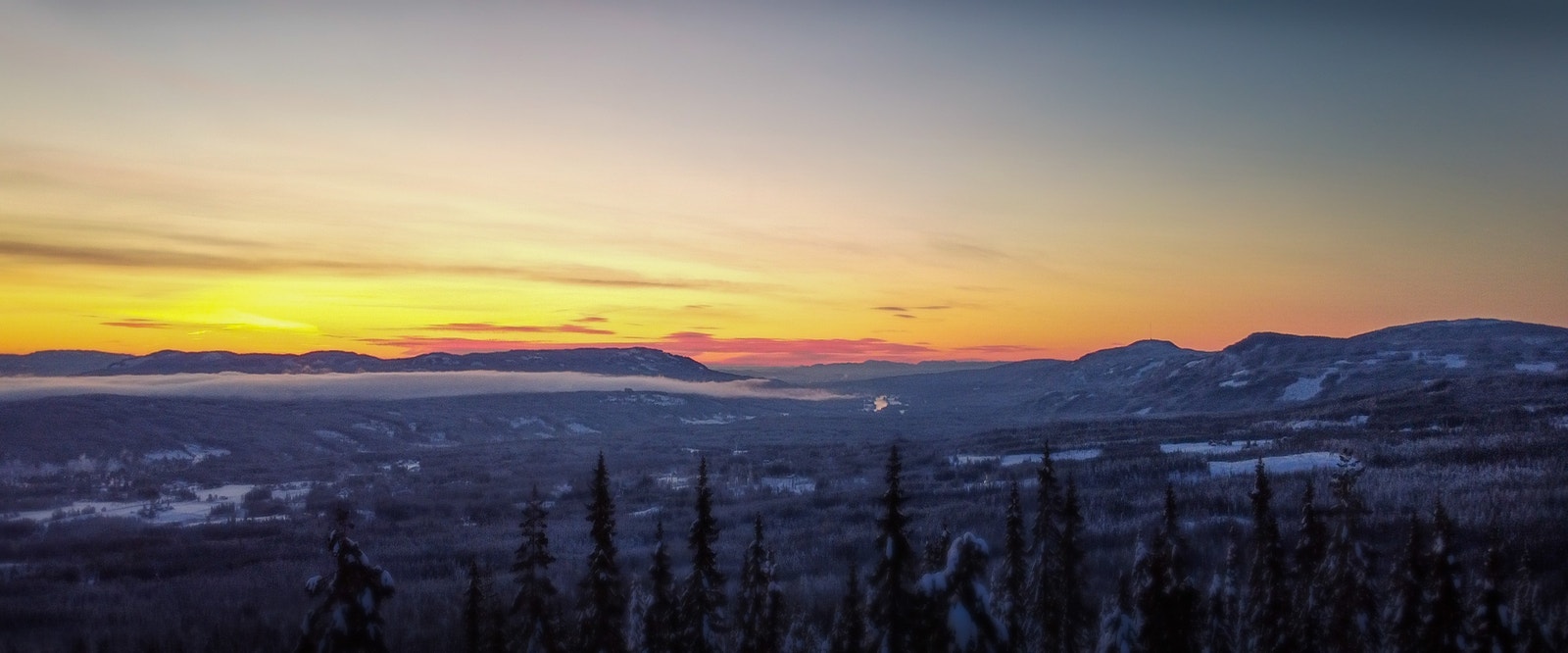 Storslått utsikt i Birkenåsen. Galleribilde