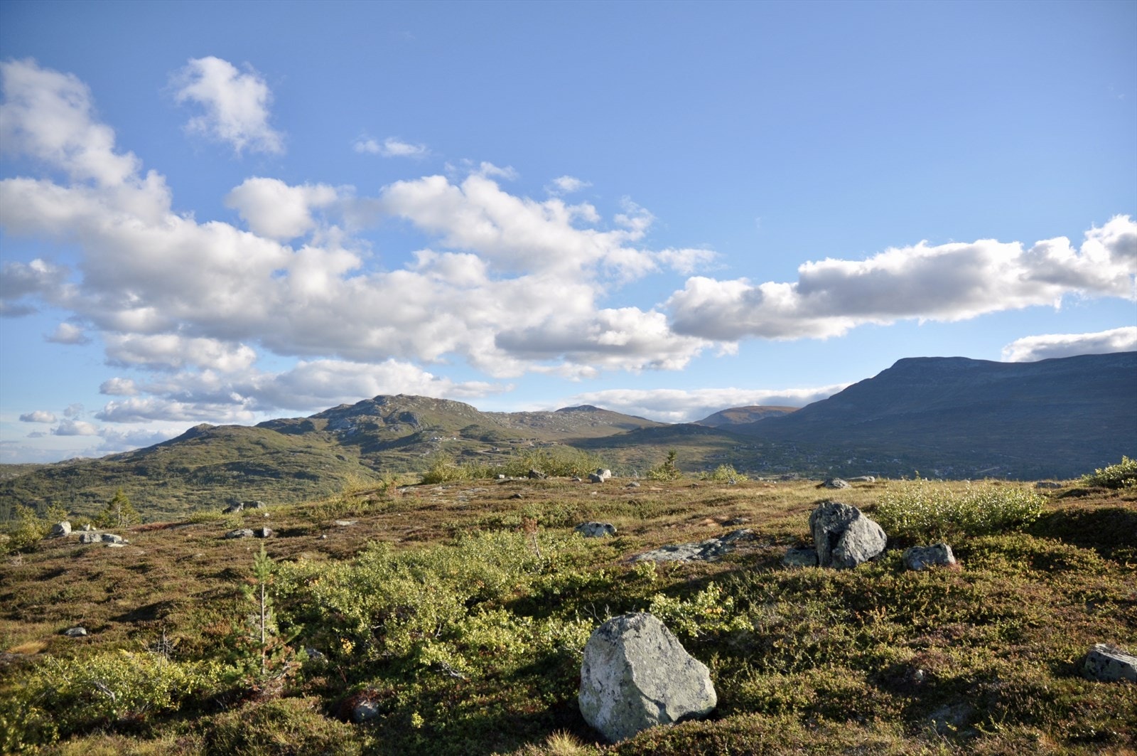 Flott utsikt mot Høgevardetoppen fra tomtens høyeste punkt. Galleribilde