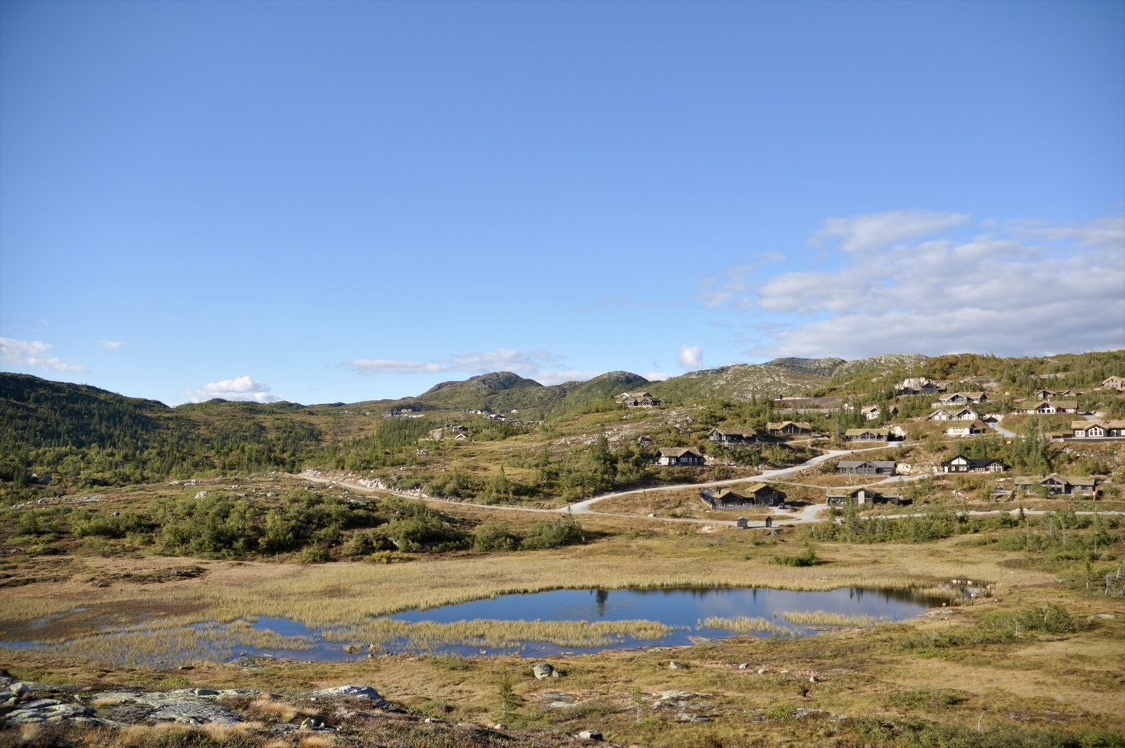 Eitjerna med vardefjell i bakgrunn. Galleribilde