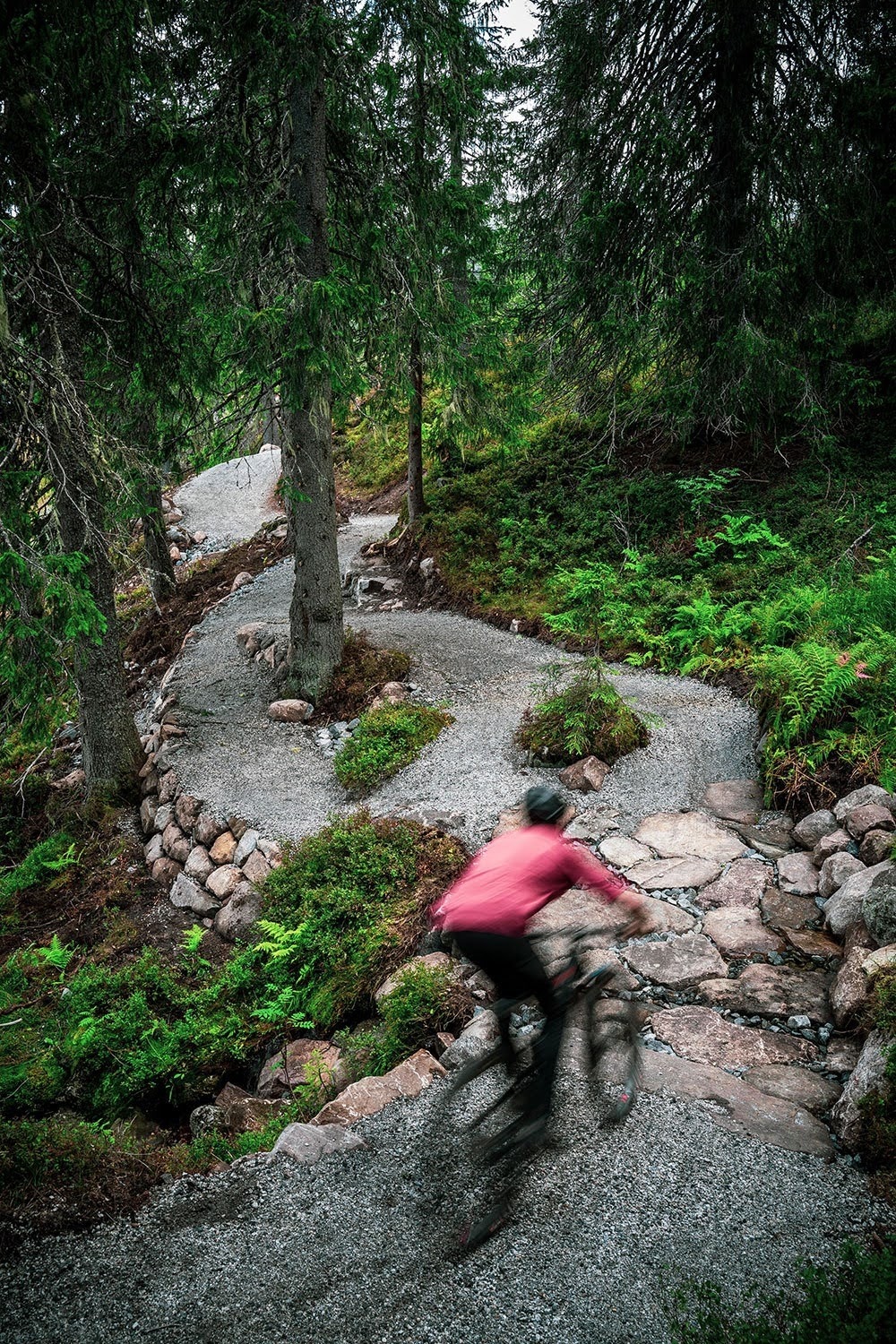 Høgevarde satser stort på stisykling i årene fremover. Galleribilde