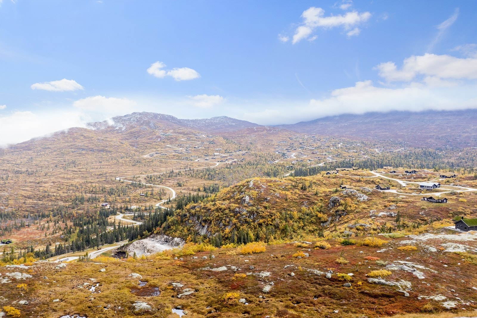 Nærområdet. Galleribilde