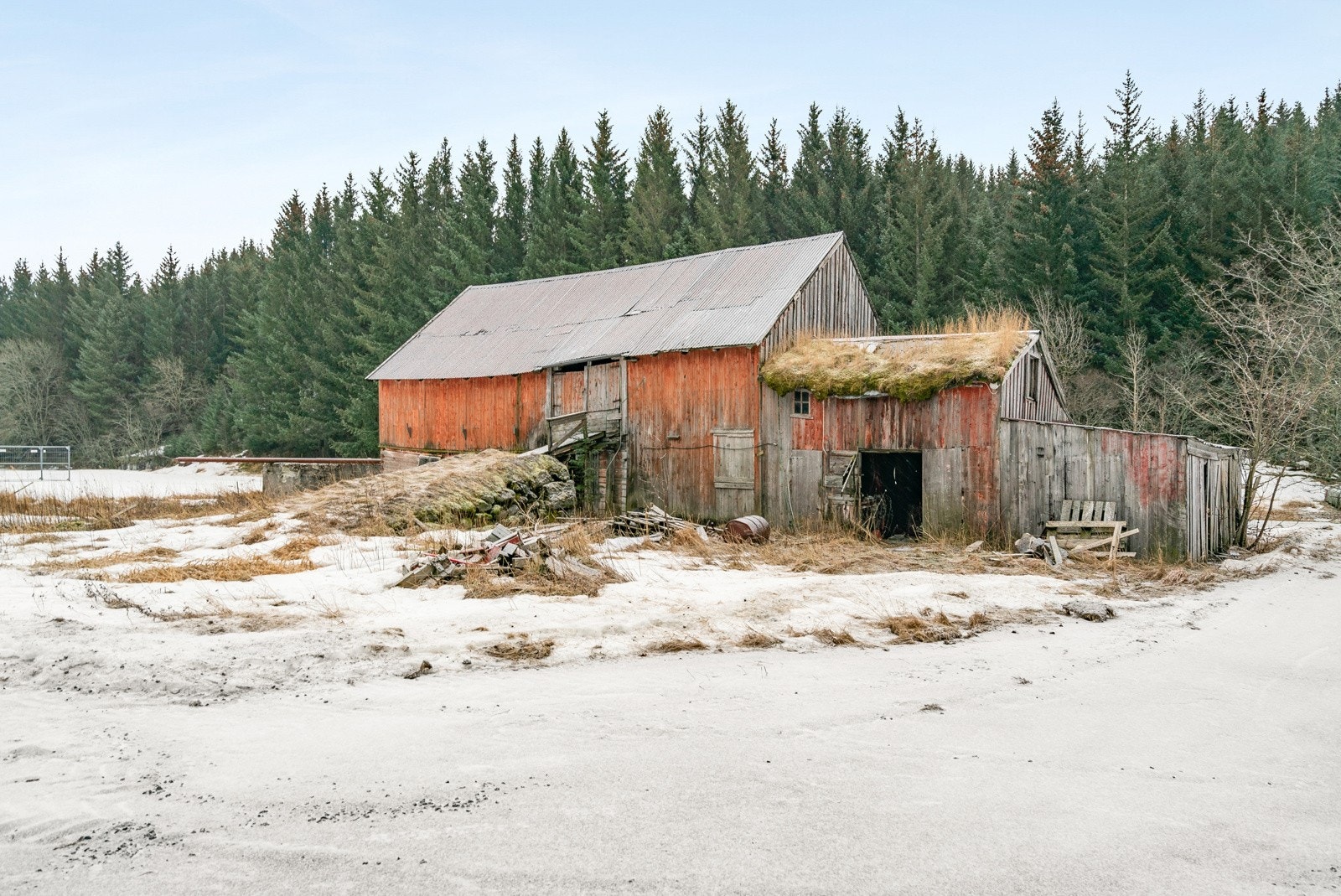 Fjøs Galleribilde