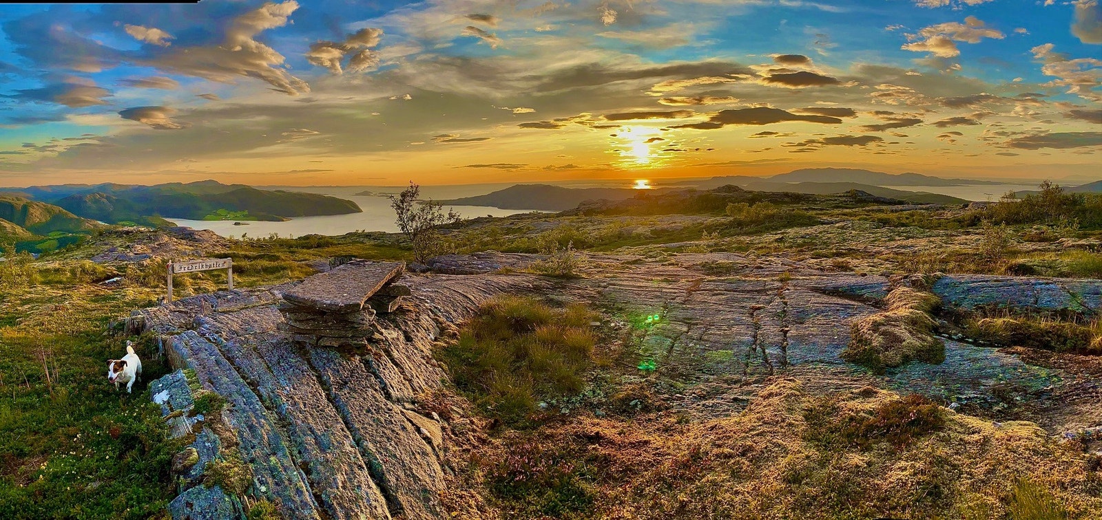 Flott natur i nærområdet (Privat foto) Galleribilde