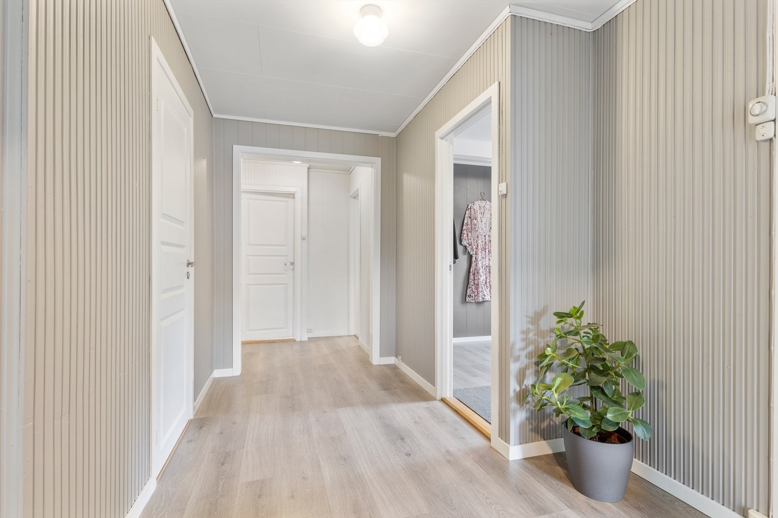 Hall. Galleribilde